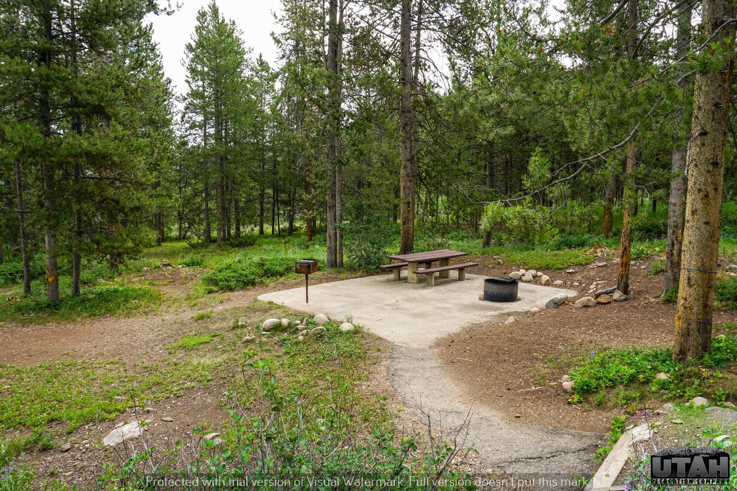 Currant Creek Campground A - 005