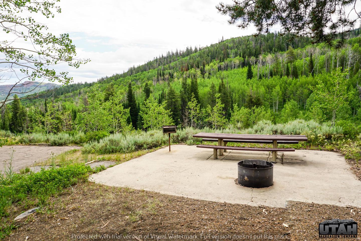 Currant Creek Campground A - 012