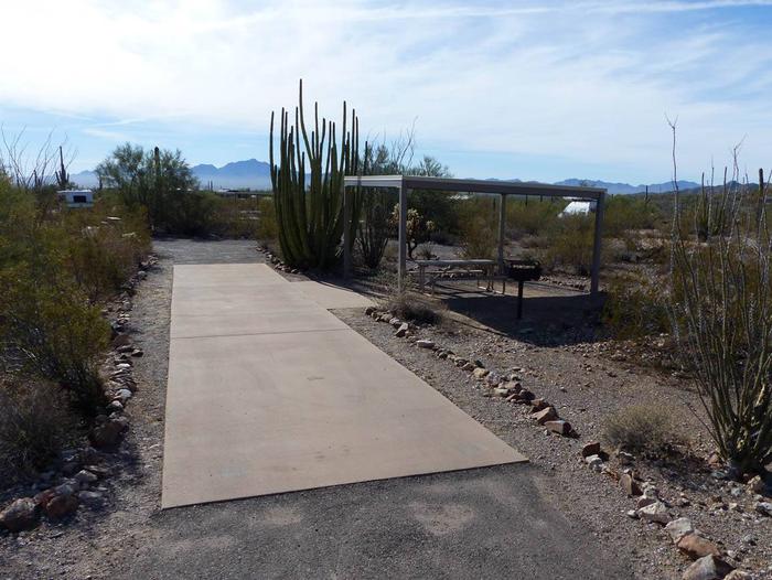 Pull-thru site with a picnic table covered with a sunshade, cactus and desert vegetation surround site.  Site 001