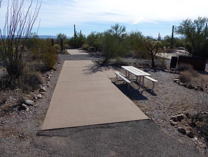 Site Pull-thru campsite with picnic table and grill, cactus and desert vegetation surround site.  Site 006