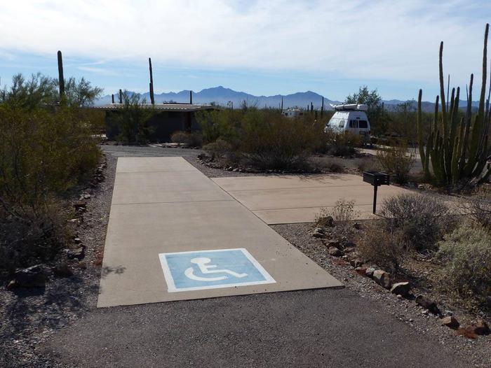 Pull-thru campsite with picnic table and grill, cactus and desert vegetation surround site.  Handicap logo visible on groundSite 007