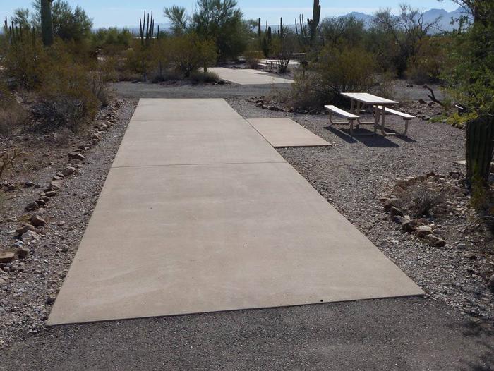 Pull-thru campsite with picnic table and grill, cactus and desert vegetation surround site.  Site 050