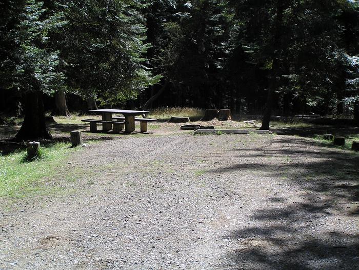 Sam Owen Campground Site 54