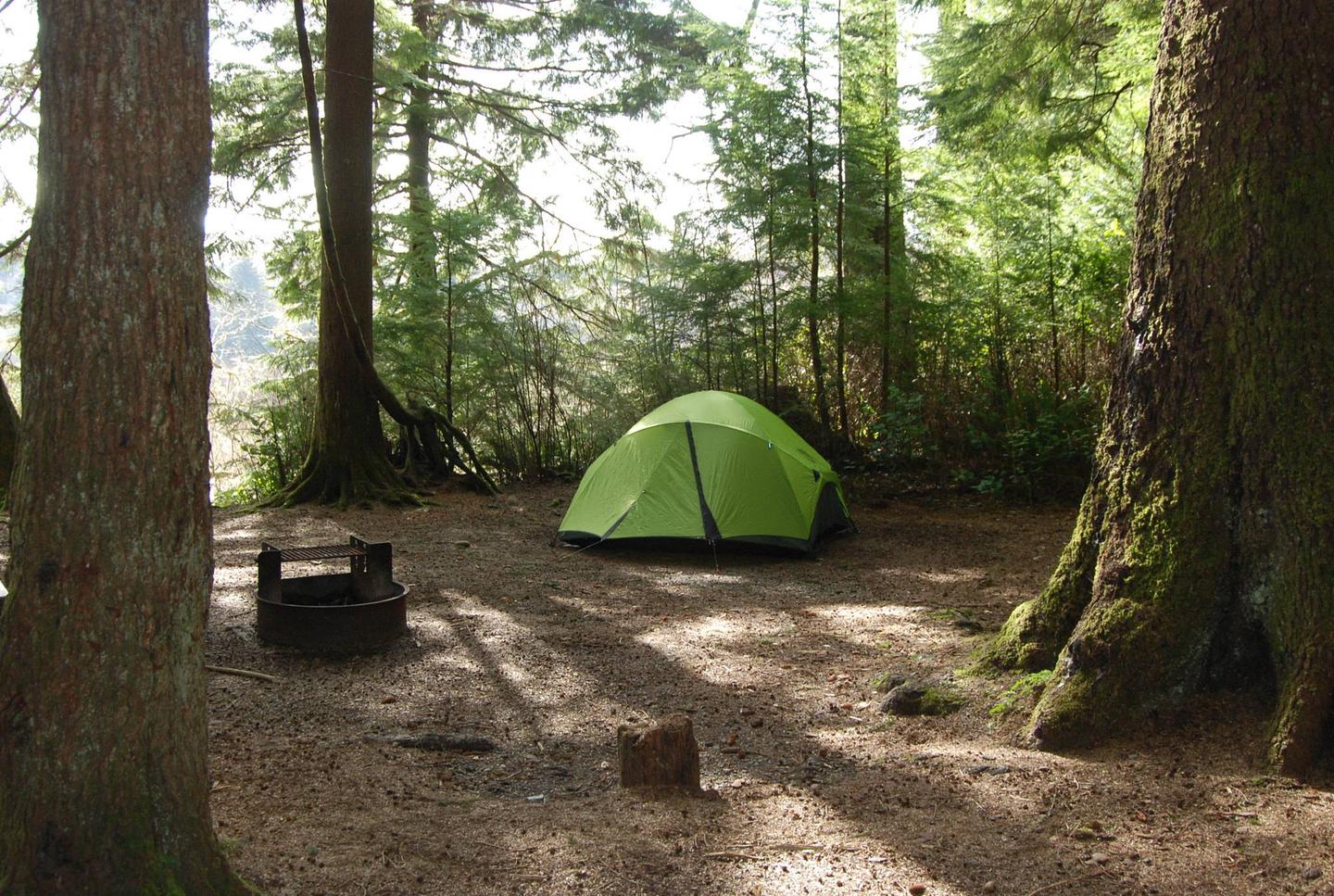 Mora Campground, Olympic National Park - Recreation.gov