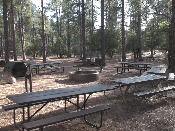 UPPER WOLF CREEK GROUP CAMP FIRE PIT Large fire pit located at the center of the group site, Charcoal grills are also available around the fire pit and at additional sites within the group site.  