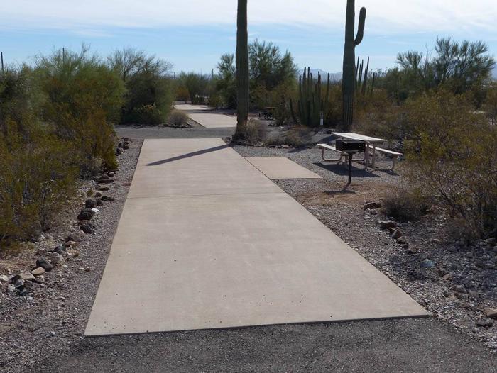 Pull-thru campsite with picnic table and grill, cactus and desert vegetation surround site.  Site 051