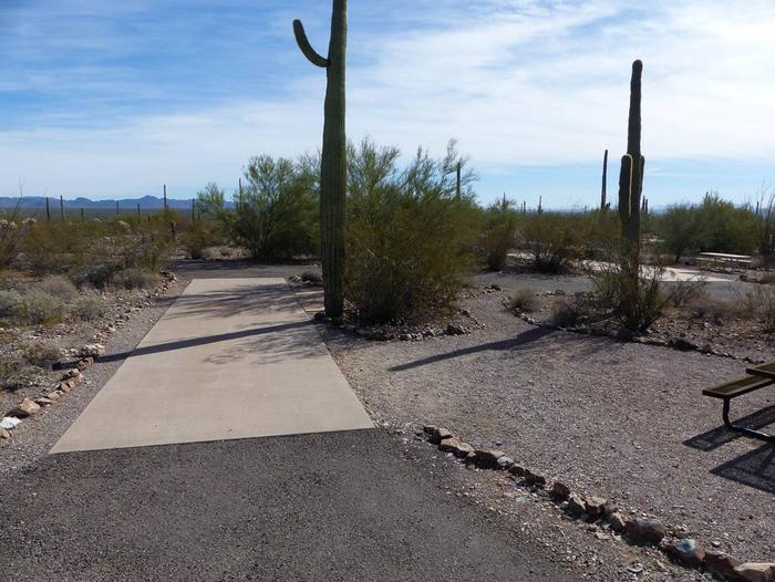 Pull-thru campsite with picnic table and grill, cactus and desert vegetation surround site.  Site 057