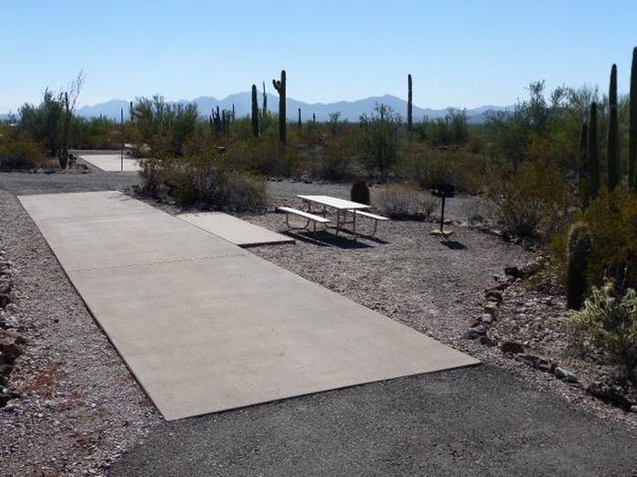Pull-thru campsite with picnic table and grill, cactus and desert vegetation surround site.  Site 058