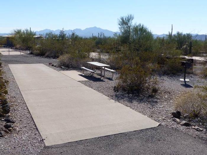 Pull-thru campsite with picnic table and grill, cactus and desert vegetation surround site.  Site 060