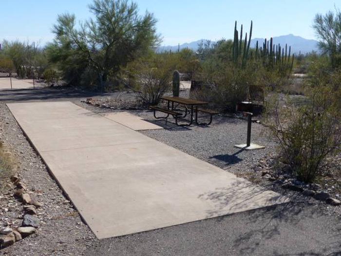 Pull-thru campsite with picnic table and grill, cactus and desert vegetation surround site.  Site 064