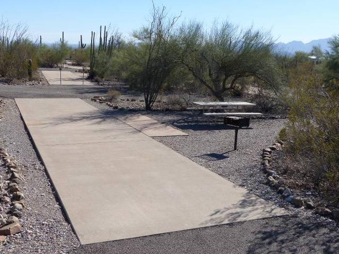 Pull-thru campsite with picnic table and grill, cactus and desert vegetation surround site.  Site 065