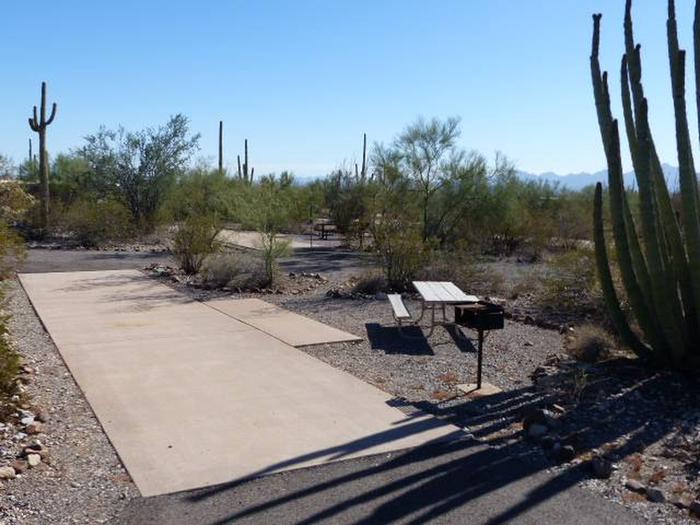 Pull-thru campsite with picnic table and grill, cactus and desert vegetation surround site.  Site 067
