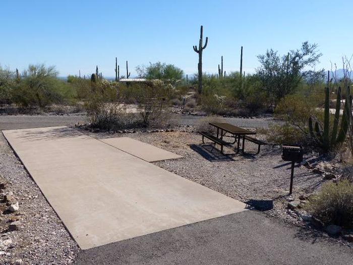 Pull-thru campsite with picnic table and grill, cactus and desert vegetation surround site.  Site 068