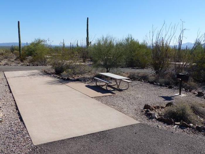 Pull-thru campsite with picnic table and grill, cactus and desert vegetation surround site.  site 070