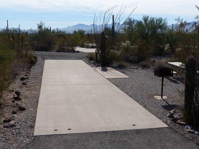 Pull-thru campsite with picnic table and grill, cactus and desert vegetation surround site.  Site 072