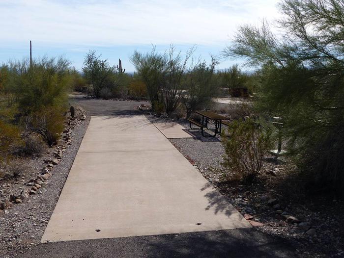 Pull-thru campsite with picnic table and grill, cactus and desert vegetation surround site.  Site 079