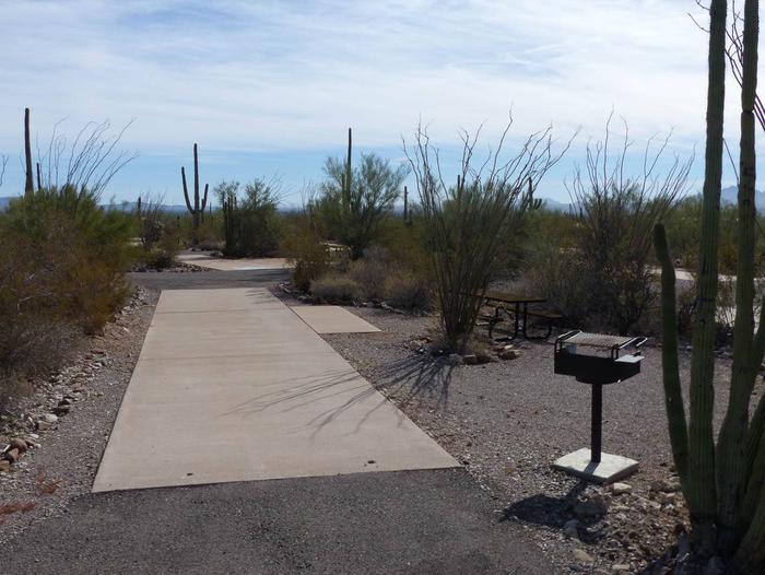 Pull-thru campsite with picnic table and grill, cactus and desert vegetation surround site.  Site 081