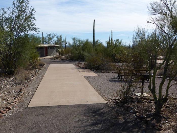 Pull-thru campsite with picnic table and grill, cactus and desert vegetation surround site.  Site 082