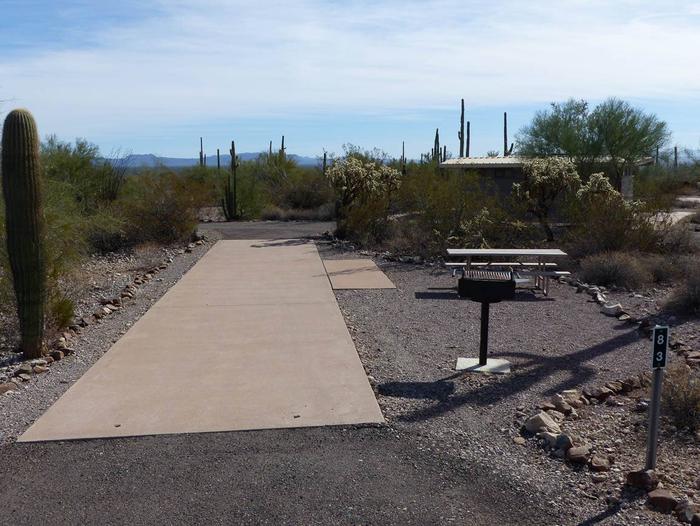 Pull-thru campsite with picnic table and grill, cactus and desert vegetation surround site.  Site 083
