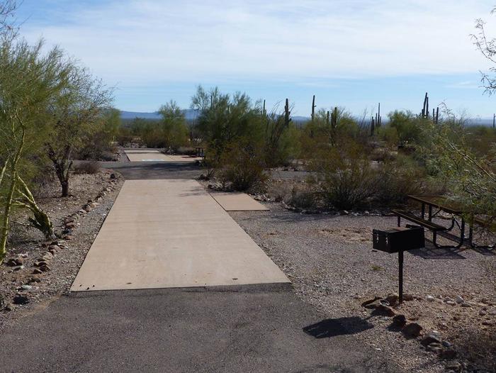 Pull-thru campsite with picnic table and grill, cactus and desert vegetation surround site.  Site 084
