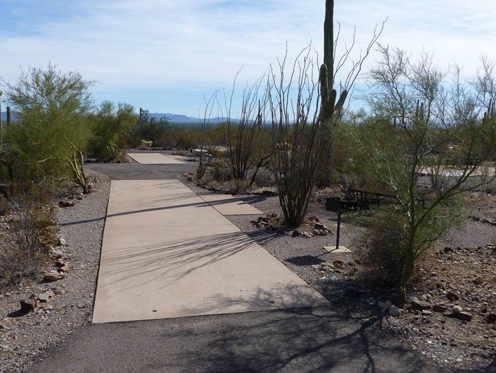 Pull-thru campsite with picnic table and grill, cactus and desert vegetation surround site.  Site 085