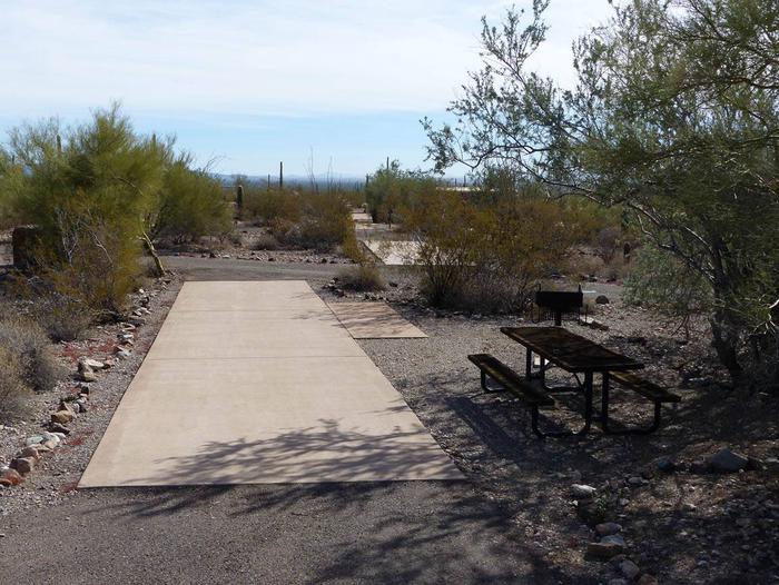 Pull-thru campsite with picnic table and grill, cactus and desert vegetation surround site.  Site 090