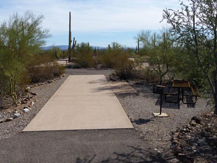 Pull-thru campsite with picnic table and grill, cactus and desert vegetation surround site.  Site 092