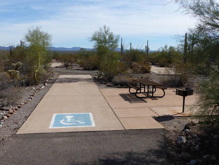 Pull-thru campsite with picnic table and grill, cactus and desert vegetation surround site.  Handicap logo painted on the groundSite 094