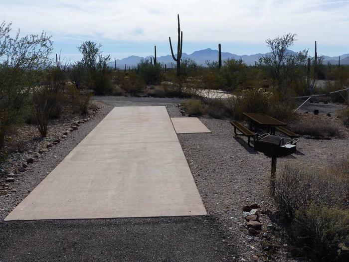 Pull-thru campsite with picnic table and grill, surrounded by cactus and desert vegetation.Site 096
