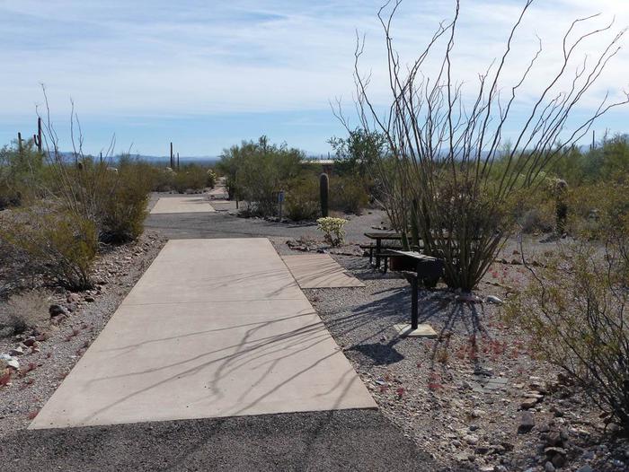 Pull-thru campsite with picnic table and grill, surrounded by cactus and desert vegetation.Site 104