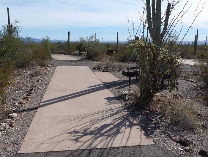 Pull-thru campsite with picnic table and grill, surrounded by cactus and desert vegetation.Site 108