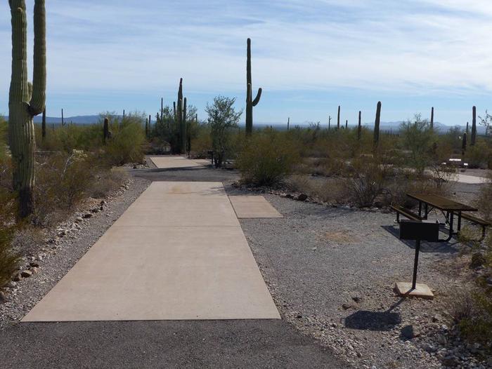 Pull-thru campsite with picnic table and grill, surrounded by cactus and desert vegetation.Site 109