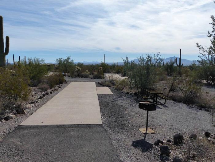 Pull-thru campsite with picnic table and grill, surrounded by cactus and desert vegetation.Site 114