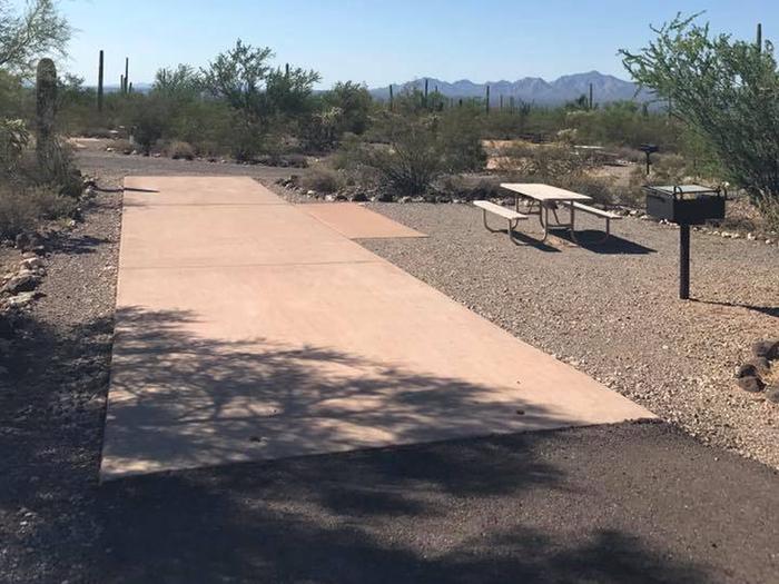 Pull-thru campsite with picnic table and grill, surrounded by cactus and desert vegetation.Site 118 