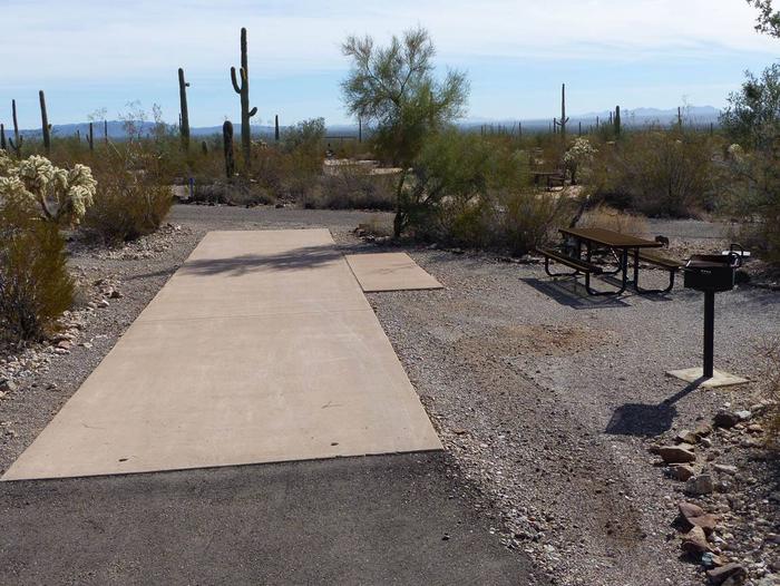 Pull-thru campsite with picnic table and grill, surrounded by cactus and desert vegetation.Site 122