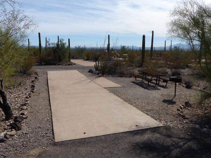 Pull-thru campsite with picnic table and grill, surrounded by cactus and desert vegetation.Site 124