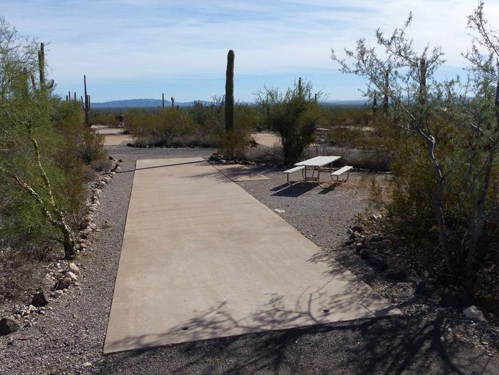 Pull-thru campsite with picnic table and grill, surrounded by cactus and desert vegetation.Site 125