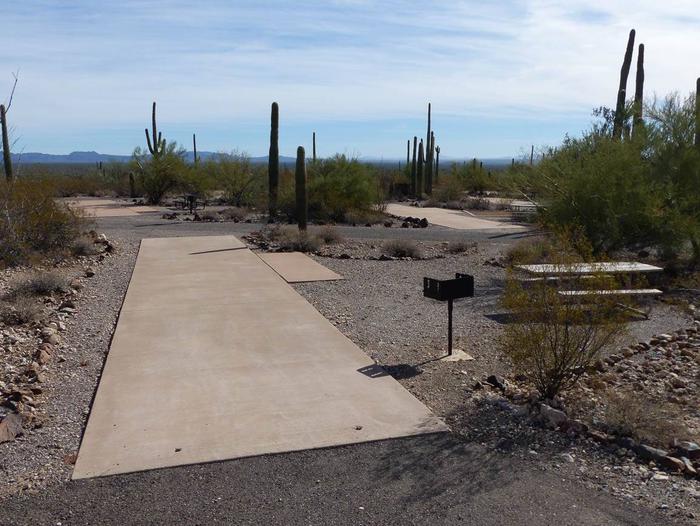 Pull-thru campsite with picnic table and grill, surrounded by cactus and desert vegetation.Site 127