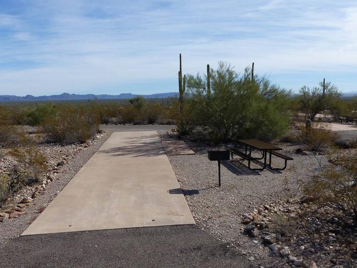 Pull-thru campsite with picnic table and grill, surrounded by cactus and desert vegetation.Site 128