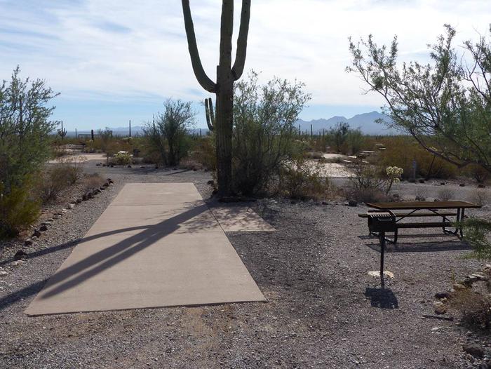 Pull-thru campsite with picnic table and grill, surrounded by cactus and desert vegetation.Site 129