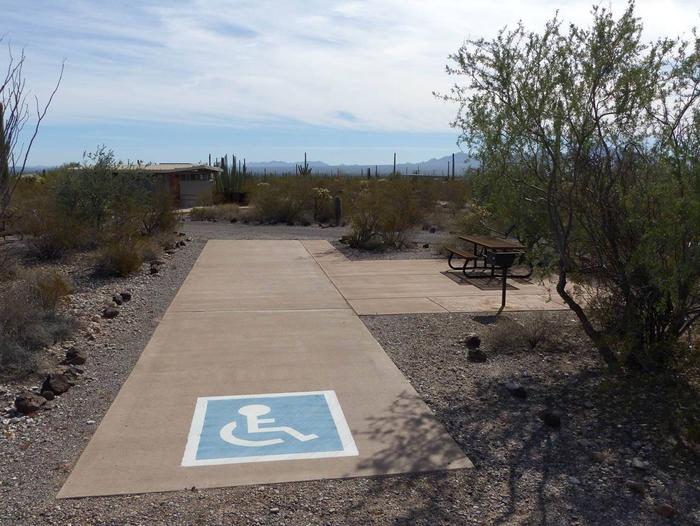 Pull-thru campsite with picnic table and grill, surrounded by cactus and desert vegetation. Handicap logo painted on the groundSite 131