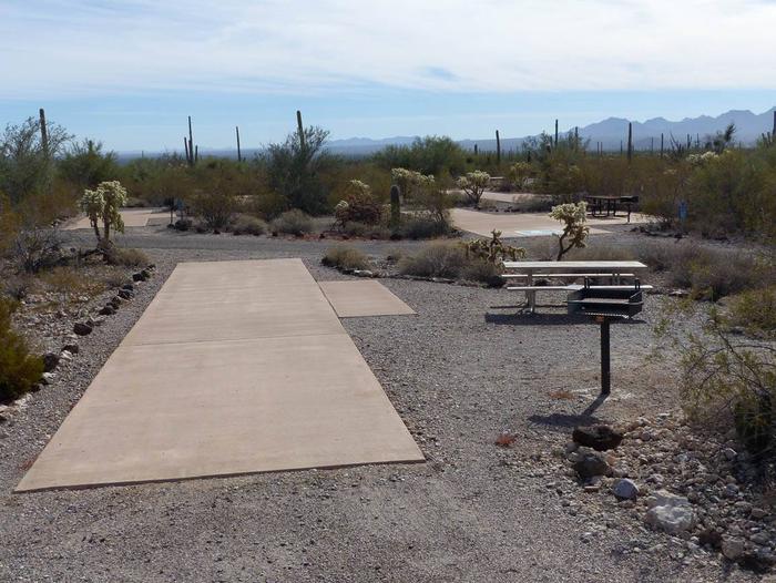 Pull-thru campsite with picnic table and grill, surrounded by cactus and desert vegetation.Site 134