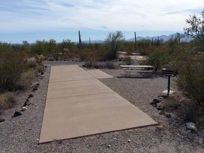 Pull-thru campsite with picnic table and grill, surrounded by cactus and desert vegetation.Site 135