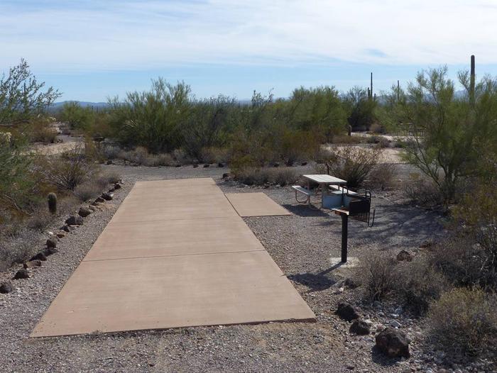Pull-thru campsite with picnic table and grill, surrounded by cactus and desert vegetation.Site 136
