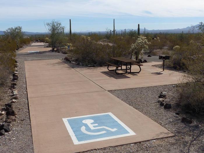 Pull-thru campsite with picnic table and grill, surrounded by cactus and desert vegetation. Handicap logo painted on the groundSite 139
