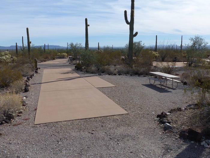 Pull-thru campsite with picnic table and grill, surrounded by cactus and desert vegetation.Site 140