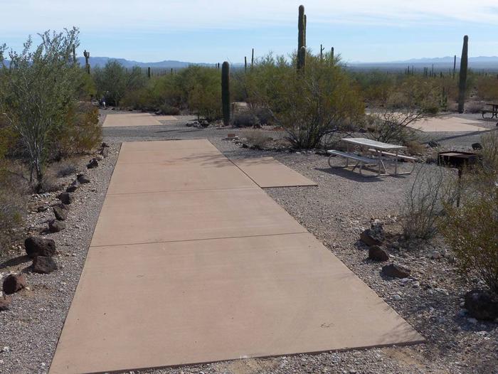Pull-thru campsite with picnic table and grill, surrounded by cactus and desert vegetation.Site 142