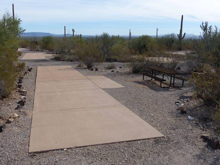 Pull-thru campsite with picnic table and grill, surrounded by cactus and desert vegetation.Site 143