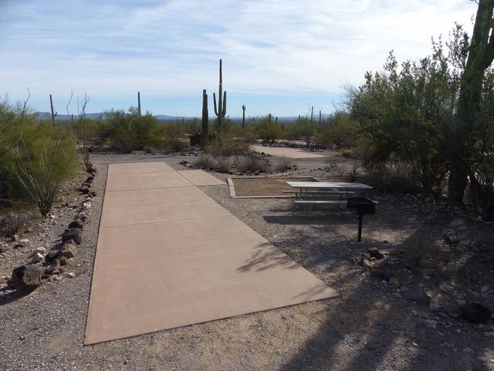 Pull-thru campsite with picnic table, tent pad, and grill, surrounded by cactus and desert vegetation.Site 144