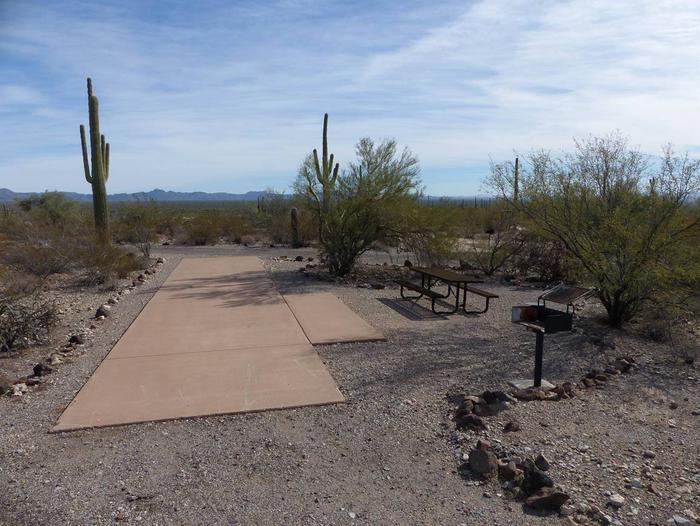Pull-thru campsite with picnic table and grill, surrounded by cactus and desert vegetation.Site 145
